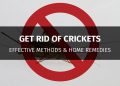 how to get rid of crickets
