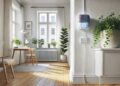 Pest Control for Renters