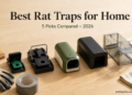 best rat traps 2026