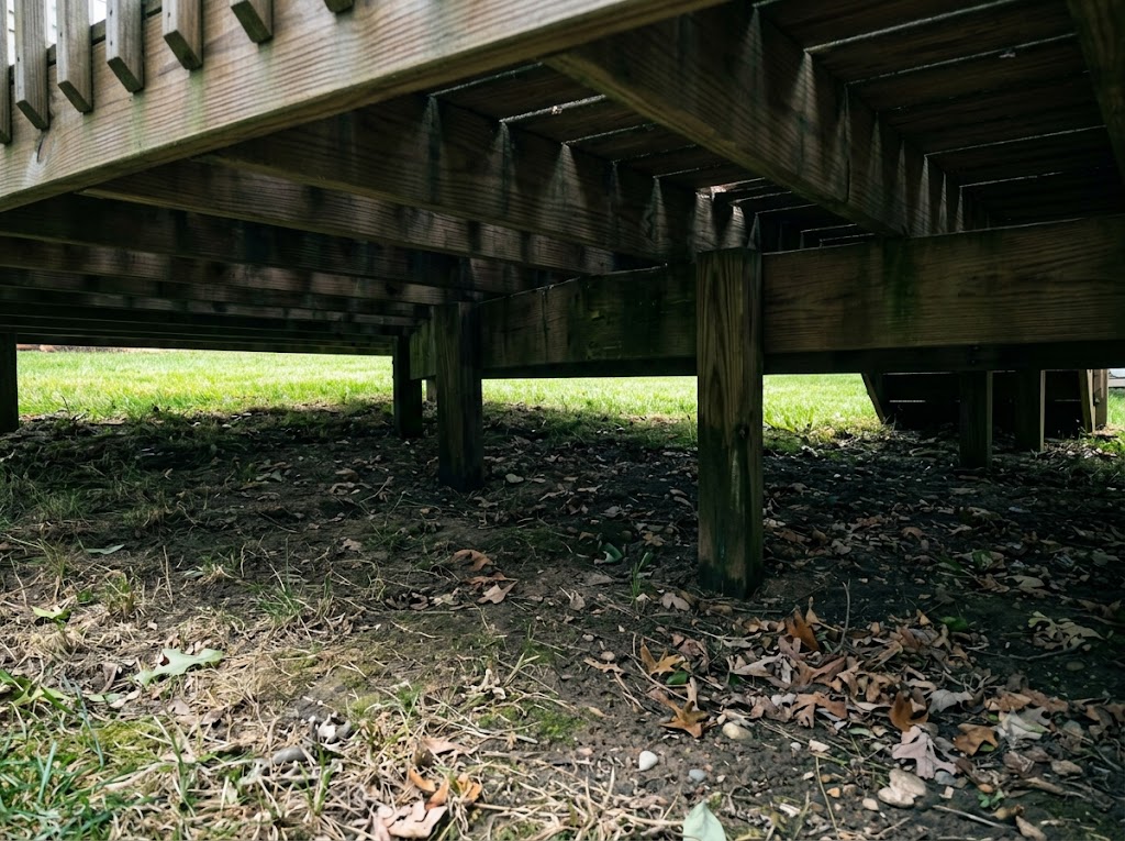 Shaded backyard area under a wooden deck where fleas may hide outdoors